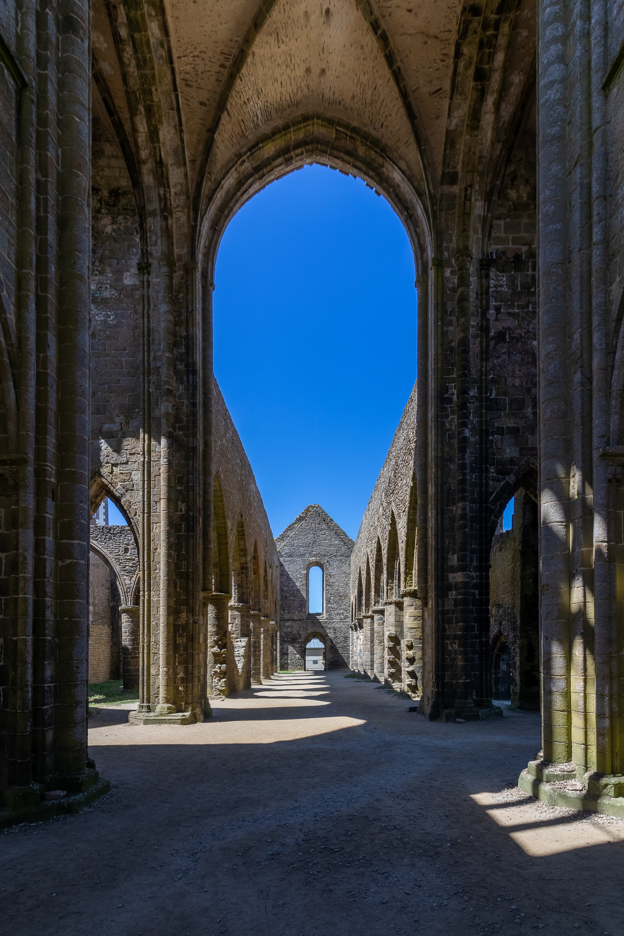 03082020  MG 7817 HDR