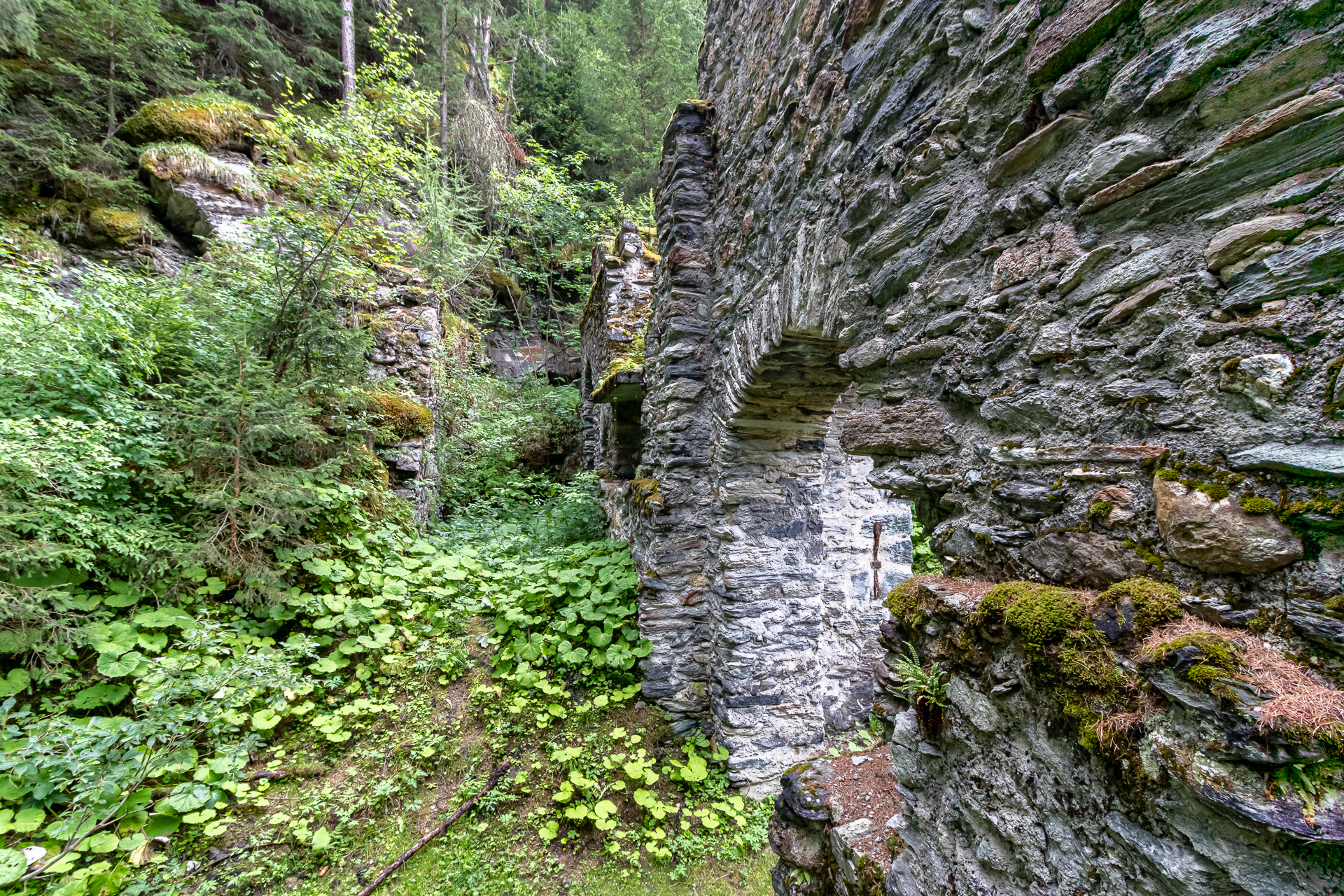 12082019  MG 4145 HDR